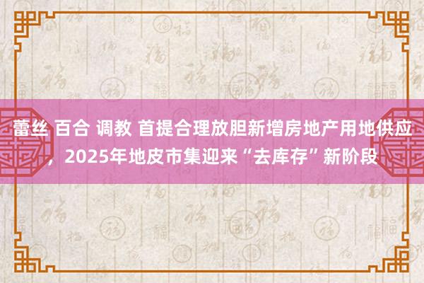 蕾丝 百合 调教 首提合理放胆新增房地产用地供应，2025年地皮市集迎来“去库存”新阶段