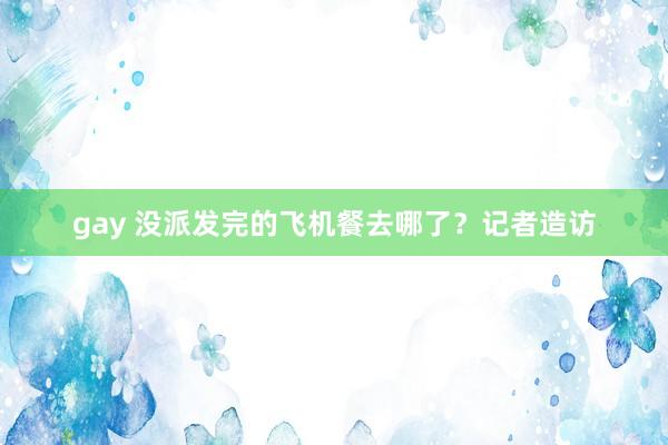gay 没派发完的飞机餐去哪了？记者造访