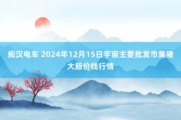 痴汉电车 2024年12月15日宇宙主要批发市集猪大肠价钱行情