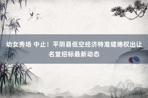 幼女秀场 中止！平阴县低空经济特准缱绻权出让名堂招标最新动态