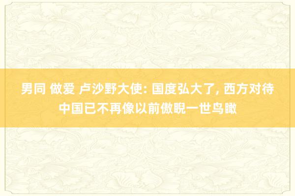 男同 做爱 卢沙野大使: 国度弘大了， 西方对待中国已不再像以前傲睨一世鸟瞰