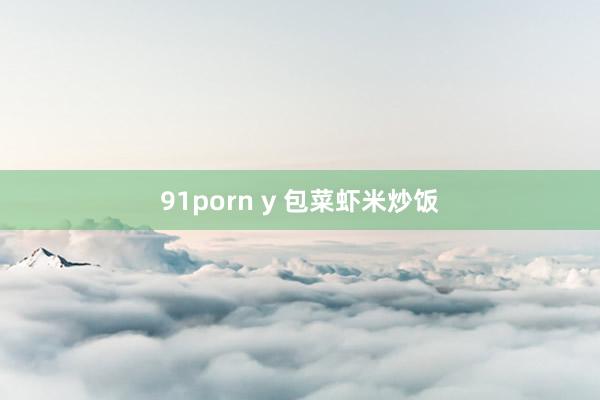 91porn y 包菜虾米炒饭