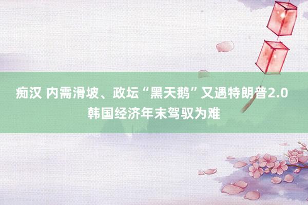 痴汉 内需滑坡、政坛“黑天鹅”又遇特朗普2.0 韩国经济年末驾驭为难
