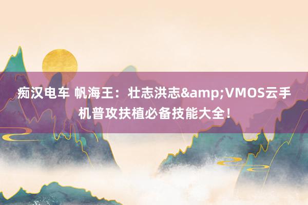 痴汉电车 帆海王：壮志洪志&VMOS云手机普攻扶植必备技能大全！