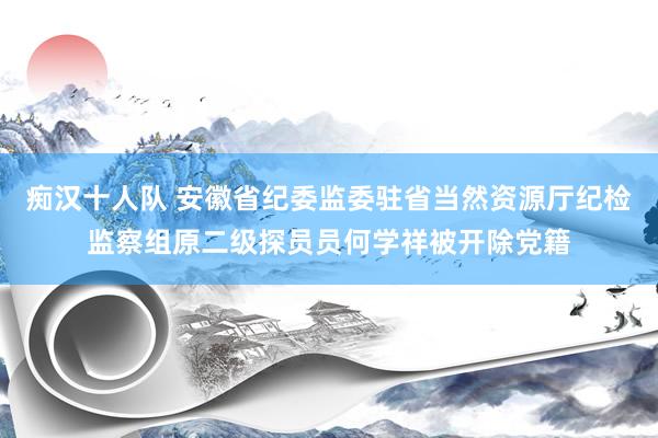 痴汉十人队 安徽省纪委监委驻省当然资源厅纪检监察组原二级探员员何学祥被开除党籍