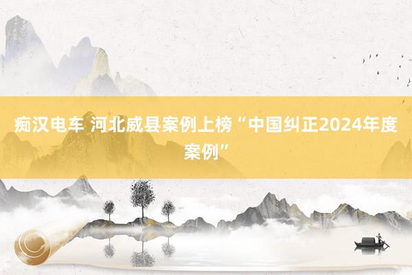 痴汉电车 河北威县案例上榜“中国纠正2024年度案例”