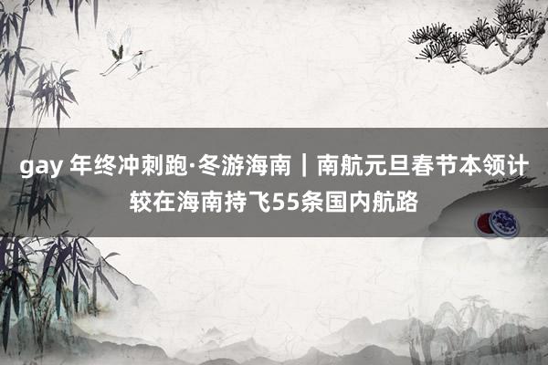 gay 年终冲刺跑·冬游海南｜南航元旦春节本领计较在海南持飞55条国内航路