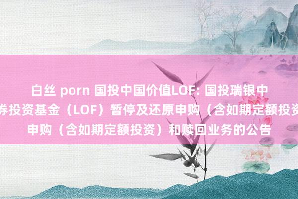 白丝 porn 国投中国价值LOF: 国投瑞银中国价值发现股票型证券投资基金（LOF）暂停及还原申购（含如期定额投资）和赎回业务的公告
