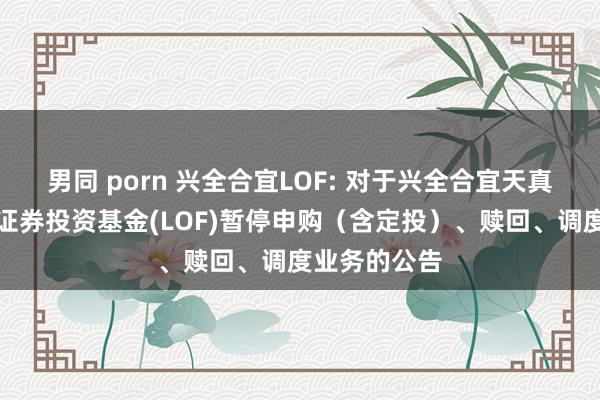 男同 porn 兴全合宜LOF: 对于兴全合宜天真建树混杂型证券投资基金(LOF)暂停申购(含定投)、赎回、调度业务的公告