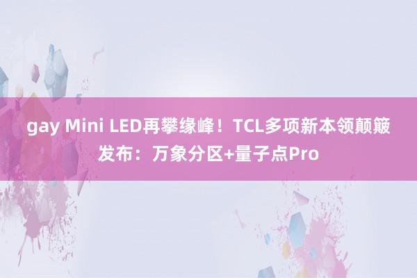 gay Mini LED再攀缘峰！TCL多项新本领颠簸发布：万象分区+量子点Pro