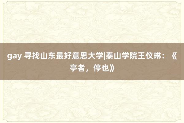 gay 寻找山东最好意思大学|泰山学院王仪琳：《亭者，停也》