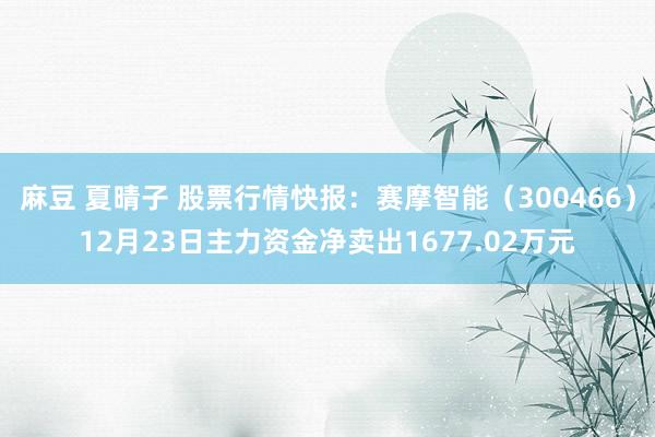 麻豆 夏晴子 股票行情快报：赛摩智能（300466）12月23日主力资金净卖出1677.02万元