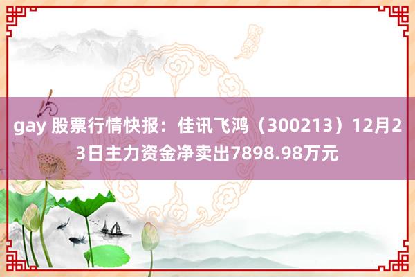 gay 股票行情快报：佳讯飞鸿（300213）12月23日主力资金净卖出7898.98万元