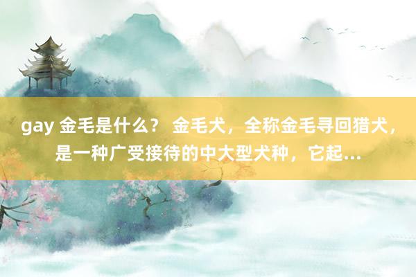gay 金毛是什么？ 金毛犬，全称金毛寻回猎犬，是一种广受接待的中大型犬种，它起...