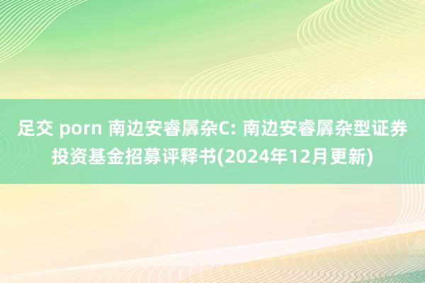 足交 porn 南边安睿羼杂C: 南边安睿羼杂型证券投资基金招募评释书(2024年12月更新)