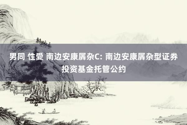 男同 性愛 南边安康羼杂C: 南边安康羼杂型证券投资基金托管公约