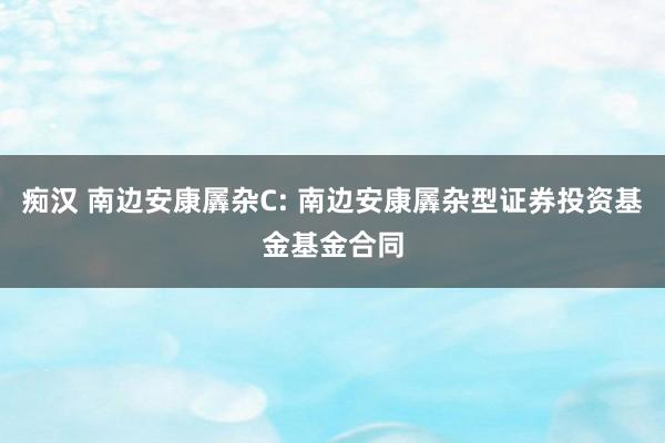 痴汉 南边安康羼杂C: 南边安康羼杂型证券投资基金基金合同