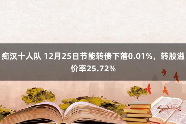 痴汉十人队 12月25日节能转债下落0.01%，转股溢价率25.72%