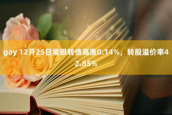 gay 12月25日紫银转债高涨0.14%，转股溢价率42.85%