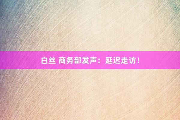 白丝 商务部发声：延迟走访！