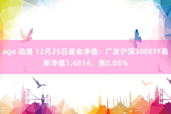 age 动漫 12月25日基金净值：广发沪深300ETF最新净值1.4814，涨0.05%