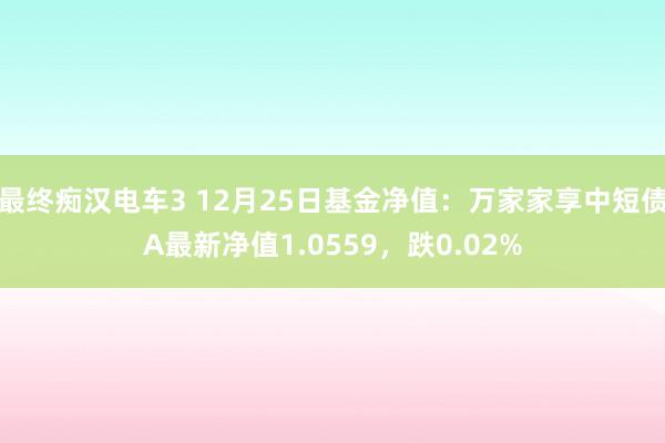 最终痴汉电车3 12月25日基金净值：万家家享中短债A最新净值1.0559，跌0.02%