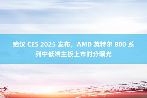 痴汉 CES 2025 发布，AMD 英特尔 800 系列中低端主板上市时分曝光