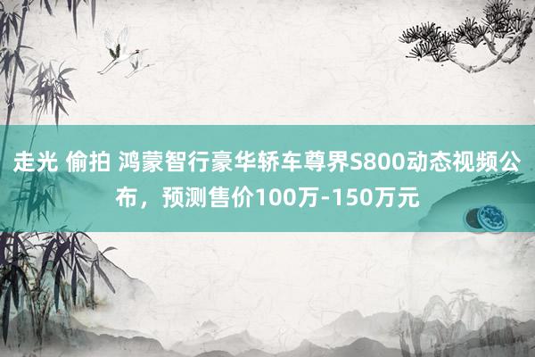 走光 偷拍 鸿蒙智行豪华轿车尊界S800动态视频公布，预测售价100万-150万元