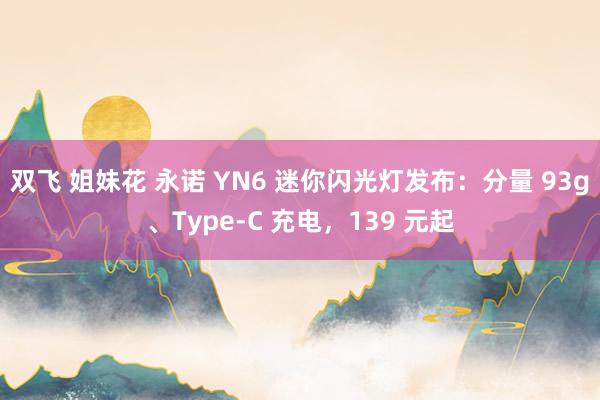 双飞 姐妹花 永诺 YN6 迷你闪光灯发布：分量 93g、Type-C 充电，139 元起