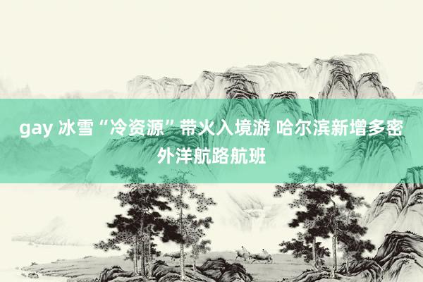 gay 冰雪“冷资源”带火入境游 哈尔滨新增多密外洋航路航班