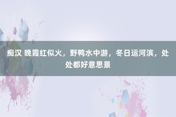 痴汉 晚霞红似火，野鸭水中游，冬日运河滨，处处都好意思景