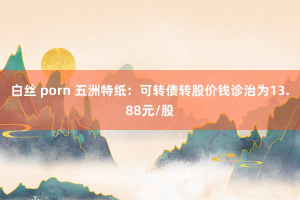 白丝 porn 五洲特纸：可转债转股价钱诊治为13.88元/股