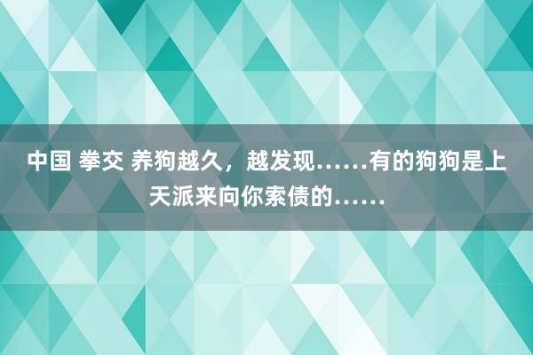 中国 拳交 养狗越久，越发现……有的狗狗是上天派来向你索债的……