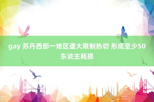gay 苏丹西部一地区遭大限制热切 形成至少50东谈主耗损