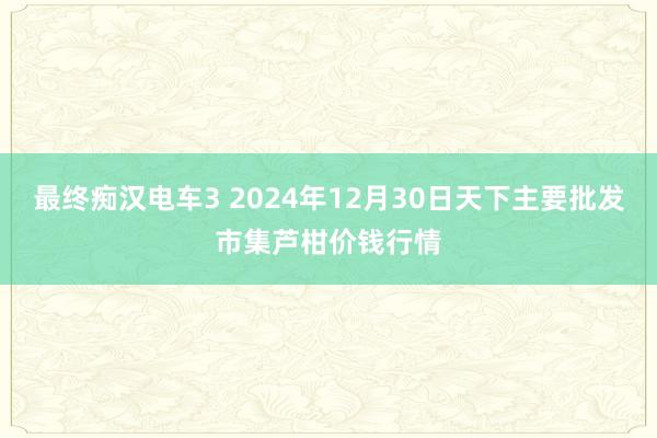 最终痴汉电车3 2024年12月30日天下主要批发市集芦柑价钱行情