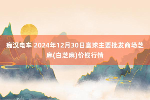 痴汉电车 2024年12月30日寰球主要批发商场芝麻(白芝麻)价钱行情