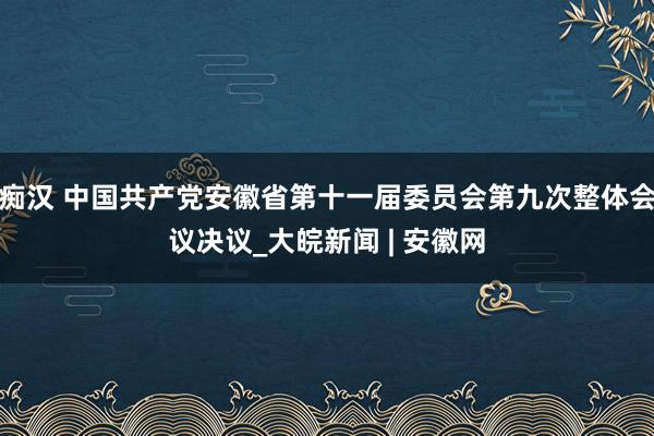 痴汉 中国共产党安徽省第十一届委员会第九次整体会议决议_大皖新闻 | 安徽网