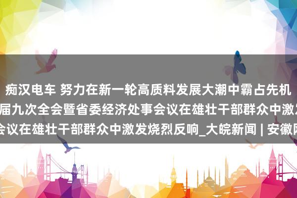 痴汉电车 努力在新一轮高质料发展大潮中霸占先机得到主动 ——省委十一届九次全会暨省委经济处事会议在雄壮干部群众中激发烧烈反响_大皖新闻 | 安徽网