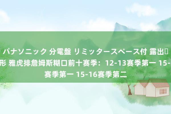 パナソニック 分電盤 リミッタースペース付 露出・半埋込両用形 雅虎排詹姆斯糊口前十赛季：12-13赛季第一 15-16赛季第二