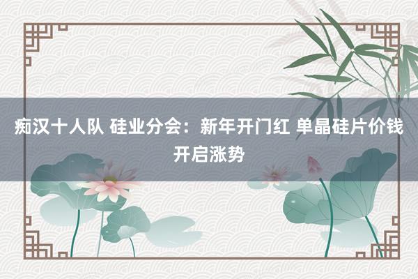 痴汉十人队 硅业分会：新年开门红 单晶硅片价钱开启涨势