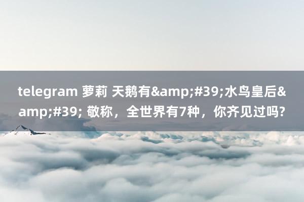 telegram 萝莉 天鹅有&#39;水鸟皇后&#39; 敬称，全世界有7种，你齐见过吗?