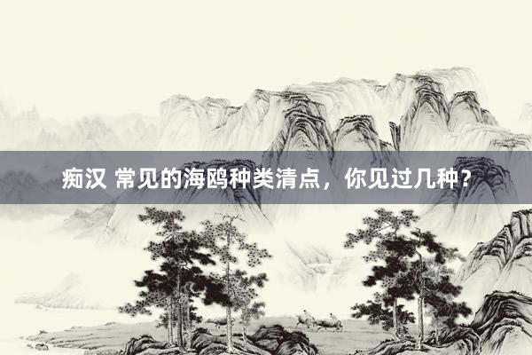 痴汉 常见的海鸥种类清点，你见过几种？