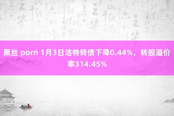 黑丝 porn 1月3日洁特转债下降0.44%，转股溢价率314.45%