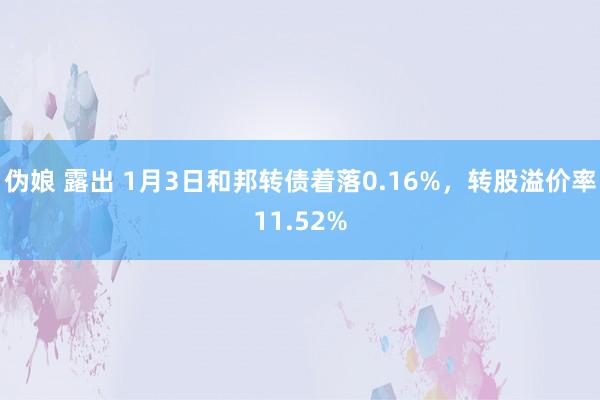 伪娘 露出 1月3日和邦转债着落0.16%，转股溢价率11.52%