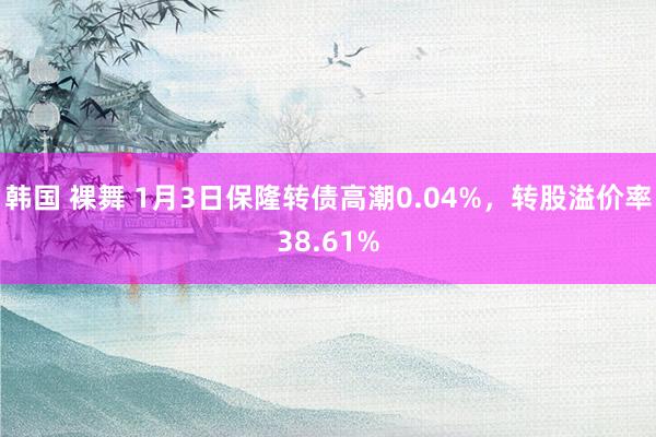 韩国 裸舞 1月3日保隆转债高潮0.04%，转股溢价率38.61%