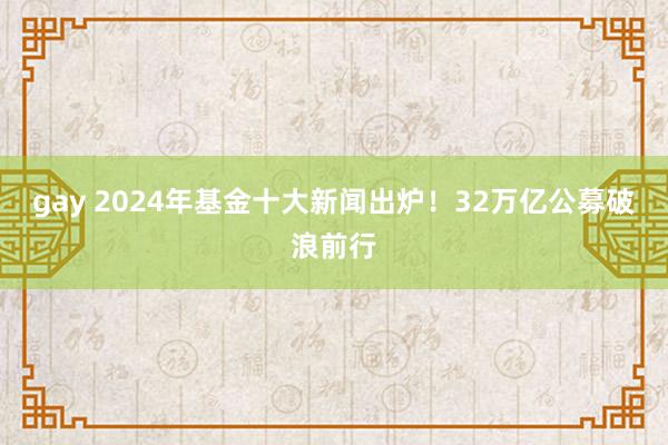 gay 2024年基金十大新闻出炉！32万亿公募破浪前行