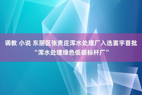 调教 小说 东丽区张贵庄浑水处理厂入选寰宇首批“浑水处理绿色低碳标杆厂”