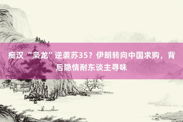 痴汉 “枭龙”逆袭苏35？伊朗转向中国求购，背后隐情耐东谈主寻味
