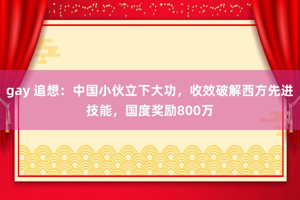 gay 追想：中国小伙立下大功，收效破解西方先进技能，国度奖励800万