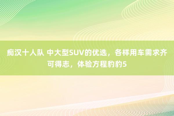 痴汉十人队 中大型SUV的优选，各样用车需求齐可得志，体验方程豹豹5